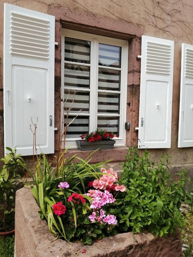 Gite Le Patio 케제르베르 외부 사진